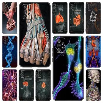 Anatomia omului Organ Caz de Telefon Pentru Samsung Galaxy A02 A21 A52 S A13 A22 A32 A33 A53 5G A11 A31 A12 A50 A51 A70 A71 A72 Acoperi