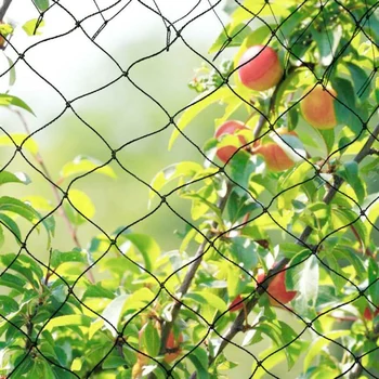 Extra Puternic Anti Pasăre Plasă 5x10/5x15/5x25/5x35M Grădină Nylon Negru Lac de Compensare Fructe/pomi/culturi de Grădină Proteja Bariera