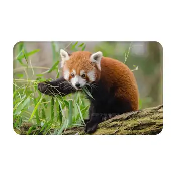 Panda Roșu Picior Moale Pad Cameră Bunuri Covor Covor Roșu Panda